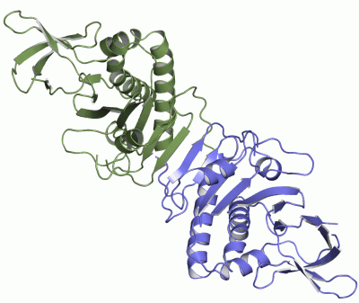 Image Asym./Biol. Unit - manually