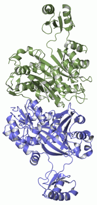 Image Asym./Biol. Unit - manually