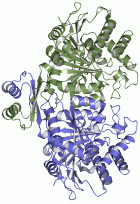 Image Asym./Biol. Unit - manually