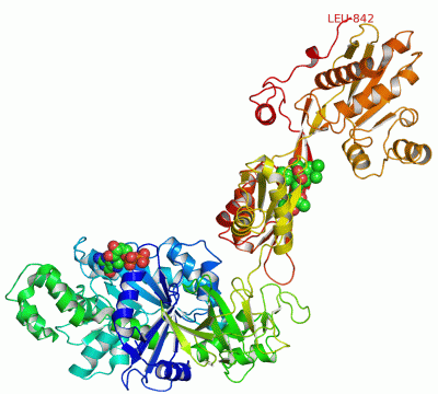 Image Asym./Biol. Unit - manually