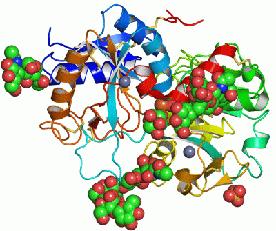 Image Asym./Biol. Unit - manually