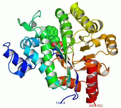 Image Asym./Biol. Unit - manually