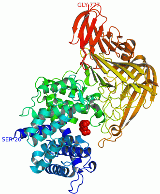 Image Asym./Biol. Unit - manually