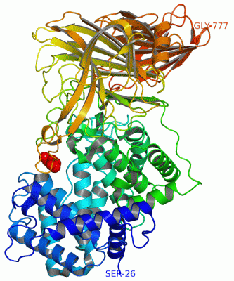 Image Asym./Biol. Unit - manually