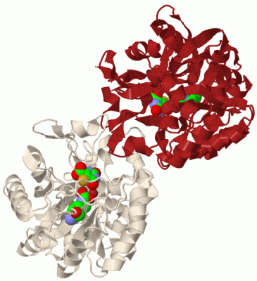 Image Biol.Unit 1 - manually