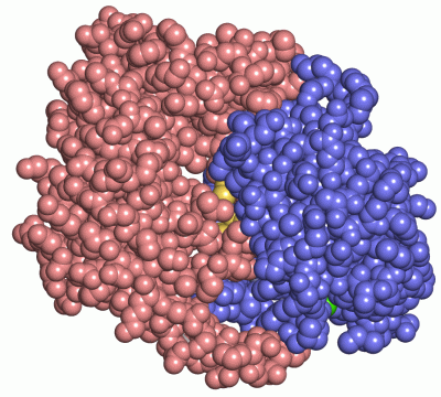 Image Asym./Biol. Unit - manually