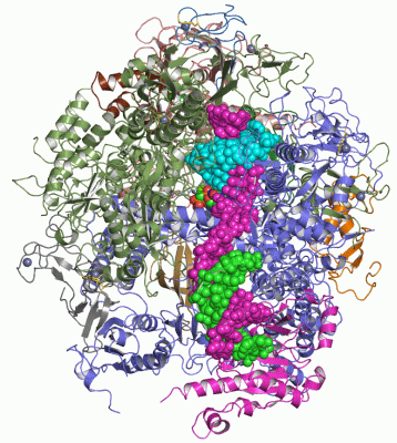 Image Asym./Biol. Unit - manually