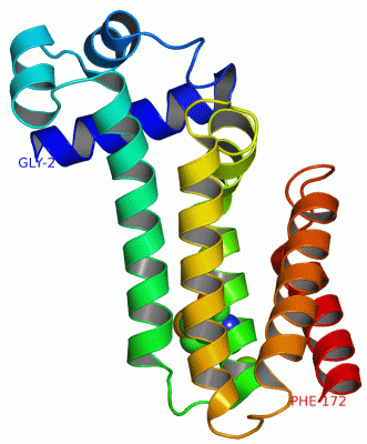 Image Asym./Biol. Unit - manually