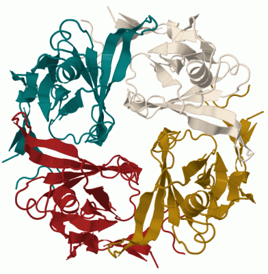 Image Biol.Unit 1 - manually