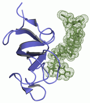 Image NMR Structure - manually