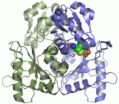 Image Asym./Biol. Unit - manually