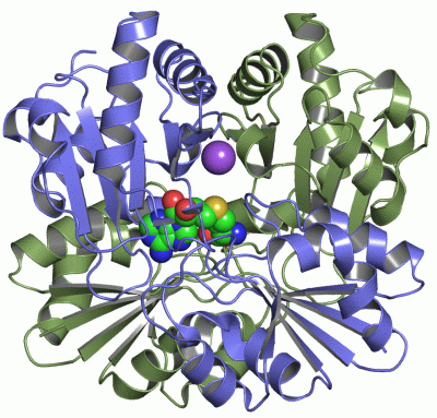 Image Asym./Biol. Unit - manually