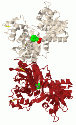 Image Biol.Unit 1 - manually