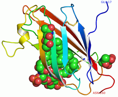 Image Asym./Biol. Unit - manually