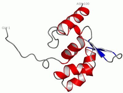 Image NMR Structure - manually