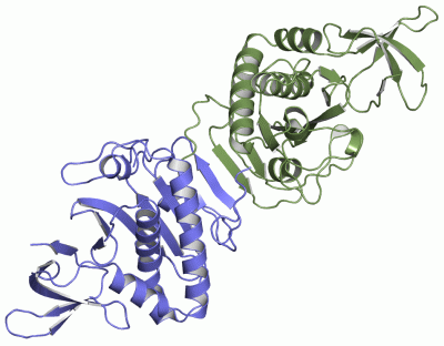 Image Asym./Biol. Unit - manually