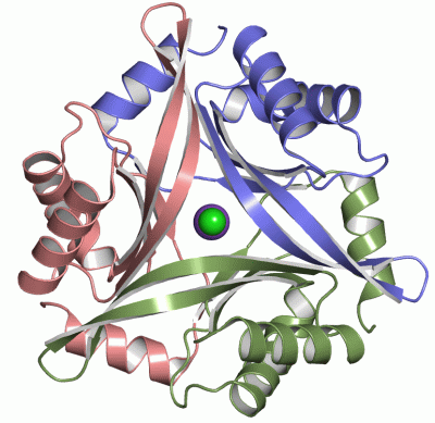 Image Asym./Biol. Unit - manually