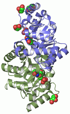 Image Asym./Biol. Unit - manually