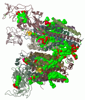 Image Biol.Unit 1 - manually