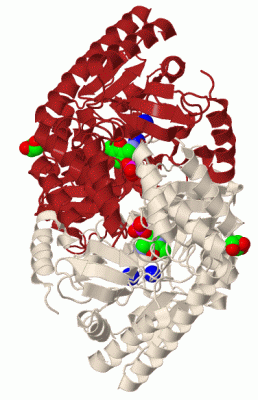 Image Biol.Unit 1 - manually