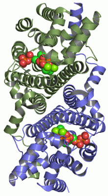 Image Asym./Biol. Unit - manually