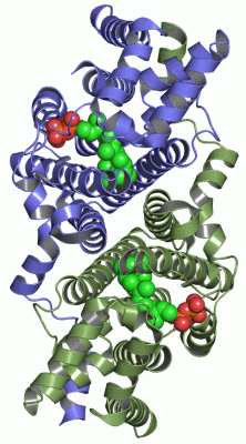 Image Asym./Biol. Unit - manually