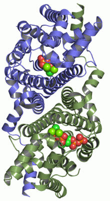 Image Asym./Biol. Unit - manually