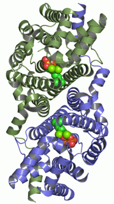 Image Asym./Biol. Unit - manually