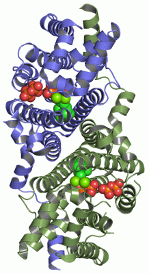 Image Asym./Biol. Unit - manually