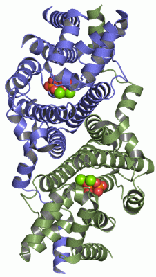 Image Asym./Biol. Unit - manually