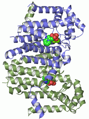 Image Asym./Biol. Unit - manually