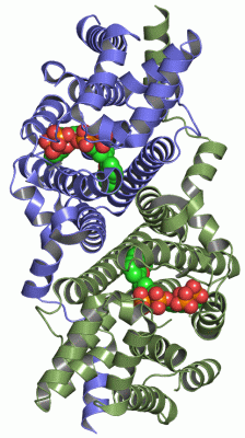 Image Asym./Biol. Unit - manually