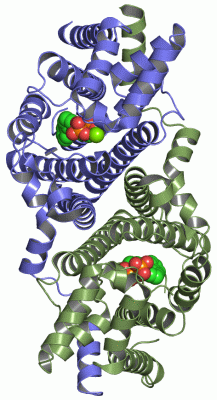 Image Asym./Biol. Unit - manually