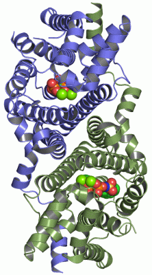 Image Asym./Biol. Unit - manually