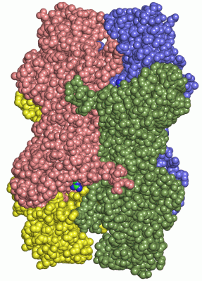 Image Asym./Biol. Unit - manually