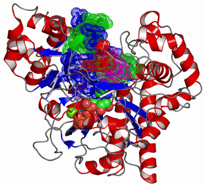 Image Asym./Biol. Unit - manually