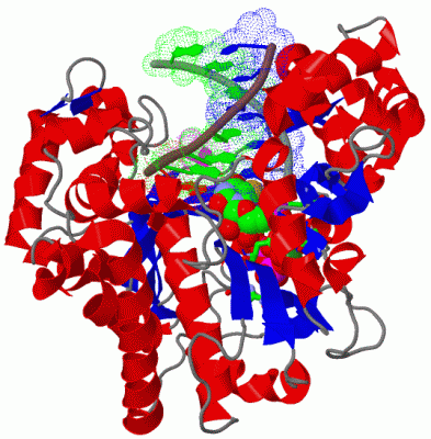 Image Biol.Unit 1 - manually