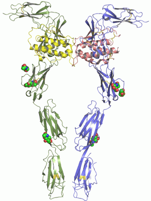 Image Asym./Biol. Unit - manually