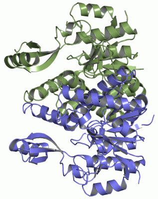 Image Asym./Biol. Unit - manually