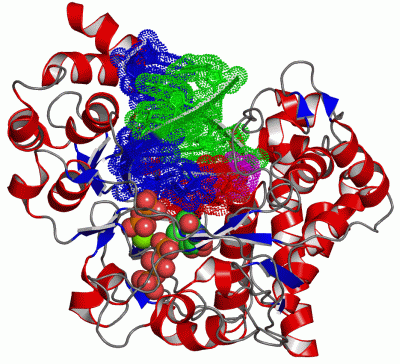 Image Asym./Biol. Unit - manually