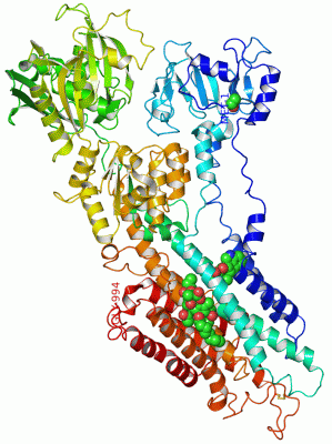Image Asym./Biol. Unit - manually