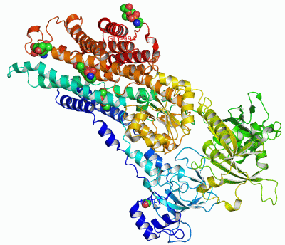 Image Asym./Biol. Unit - manually