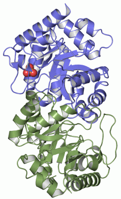 Image Asym./Biol. Unit - manually