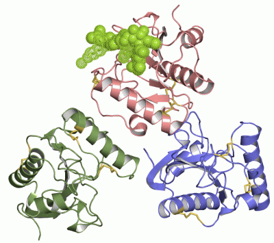 Image Asym./Biol. Unit - manually