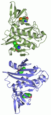 Image Asym./Biol. Unit - manually