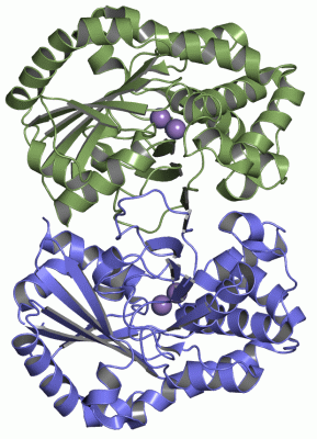 Image Asym./Biol. Unit - manually