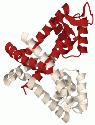 Image Biol.Unit 1 - manually