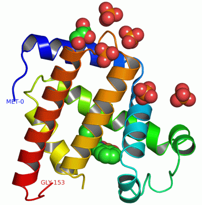 Image Asym./Biol. Unit - manually