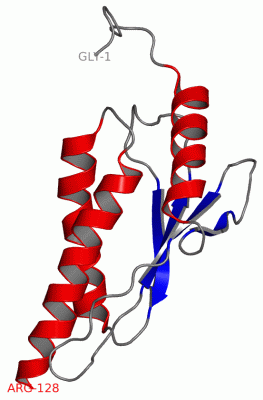 Image NMR Structure - manually