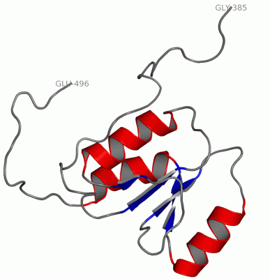 Image NMR Structure - manually